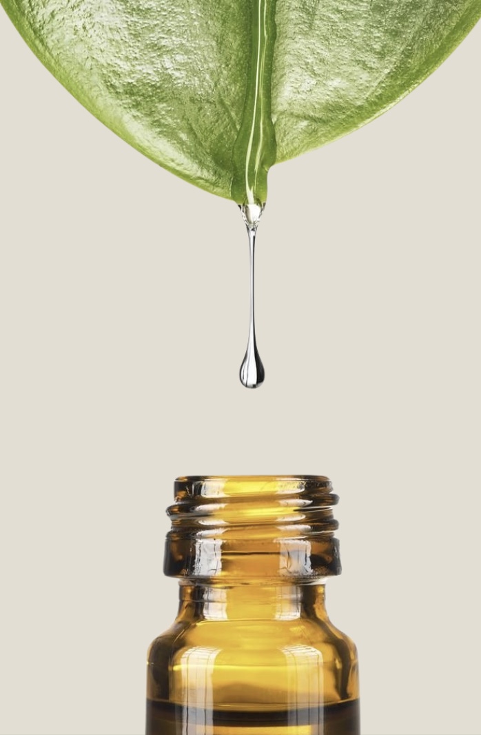 Image 18-11-2025 à 13.27