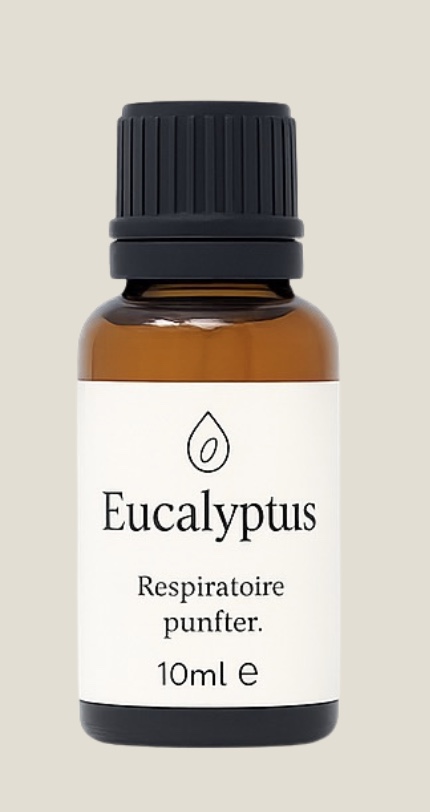 Image 25-11-2025 à 14.50