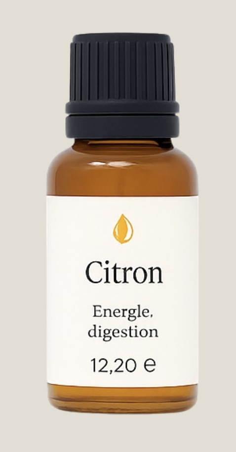 Image 25-11-2025 à 14.52